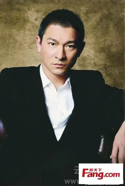 吴彦祖梁朝伟刘德华20位最帅中国男人家居照