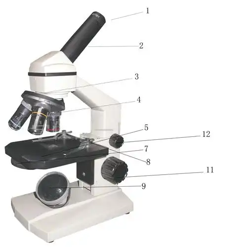 下图是显微镜结构,请你根据图回答问题.