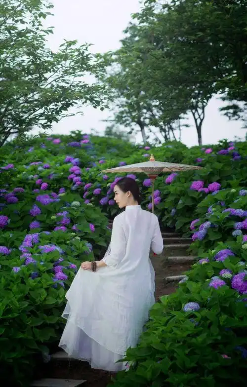 如果你是江南雨巷我就是那位撑着油纸伞的女子