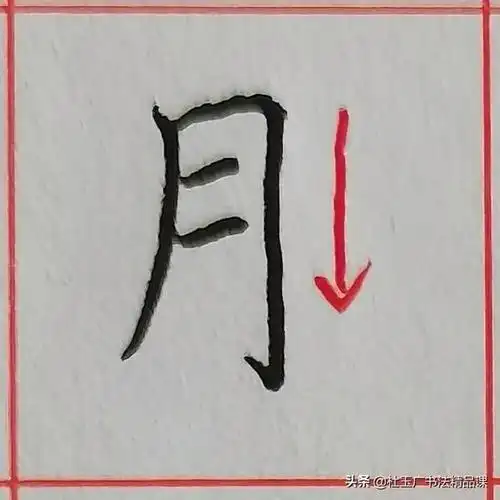 月的笔顺,月的笔顺图片(规范字书写要点归纳)