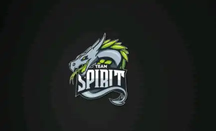 spirit战队成员名单spirit战队csgo队伍详细介绍