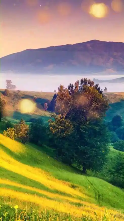 机枪发射动态壁纸_高清竖屏视频下载-火萤壁纸