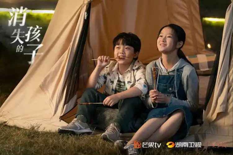 【介绍】因为一个孩子的失踪,引出每个人的秘密