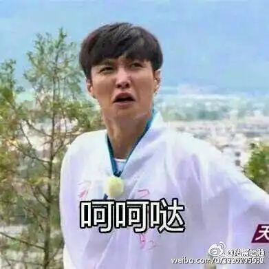 exo表情包 张艺兴 lay