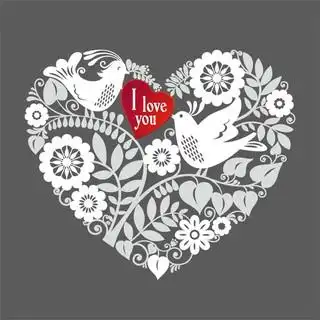 爱情小鸟印花心形