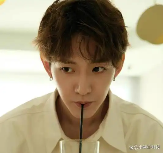 去年暑假火了两只男狐狸高颜值的他人气竟不敌邓为