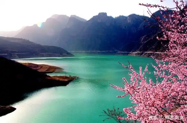 人间四月芳菲尽,山寺桃花始盛开丨探析古代桃花文化的演变历程