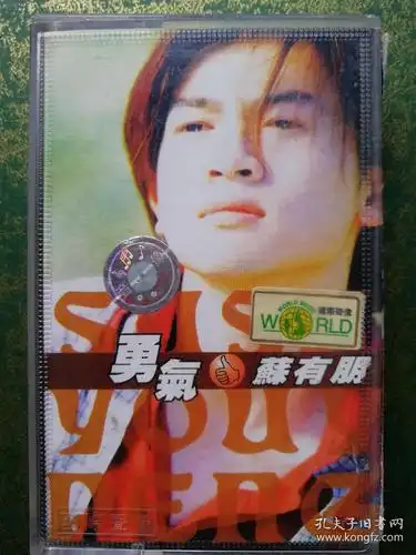 苏有朋《勇气》