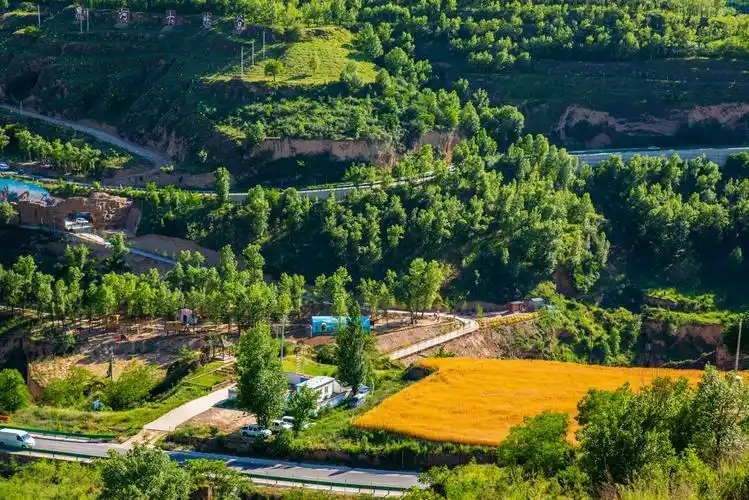 甘肃陇东黄土高原七月景色