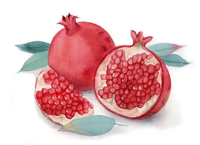 手绘水彩水果成熟石榴插画