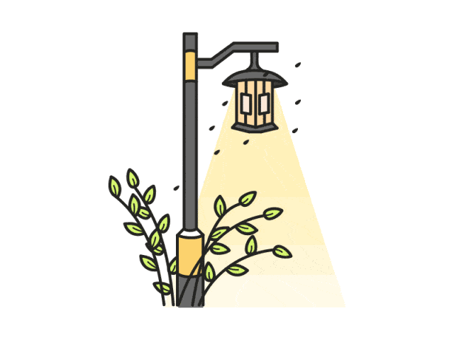 三强攻坚长丰这里晚上路灯变得更亮了看看咋回事