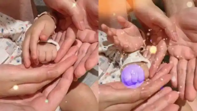 恭喜!陈赫晒一家四口大手拉小手画面,正式官宣二胎