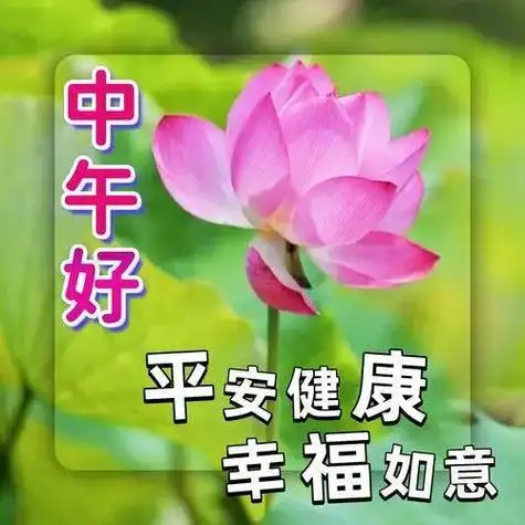 中午好图片中午好祝福中午好问候午安吉祥问候图片