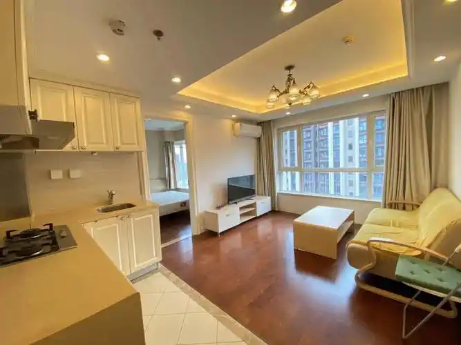 6号线常营地铁50米精装一室一厅