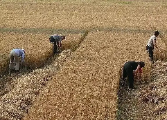 回顾那些已绝版的儿时农村记忆