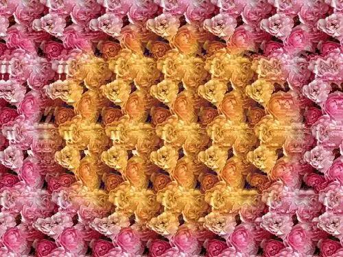 三维立体图片欣赏盘点网络流传的3d立体图片合集