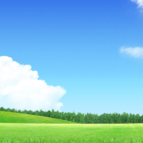 春天清新踏青草坪背景