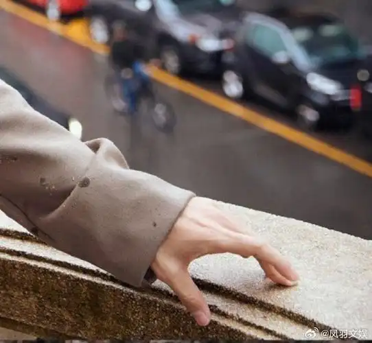 肖战一根手指摆姿势##肖战雨中拍出发图