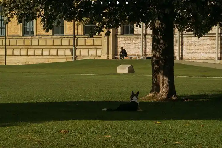 ipad壁纸合集不定期更新风景图为主