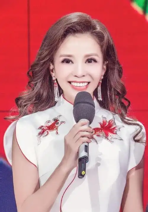 央视的几位女主持人,集美貌和才华于一身,你最喜欢哪一位?