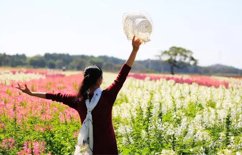 知性女人,微笑留香
