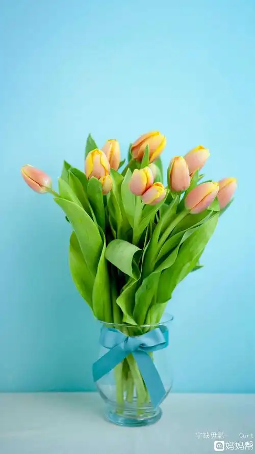 1440_2560竖版 竖屏