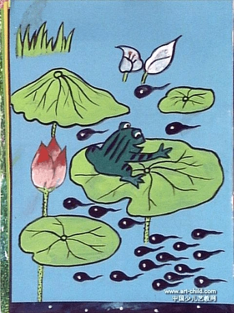 荷花,荷叶,青蛙等小池塘教案