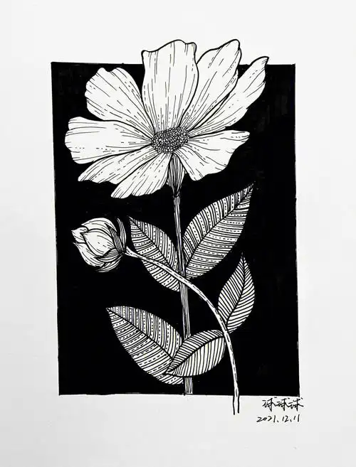 黑白装饰画花卉