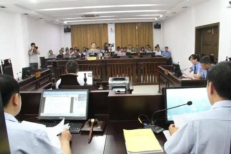 安陆法院公开审判贩毒案女毒贩一审获刑8个月