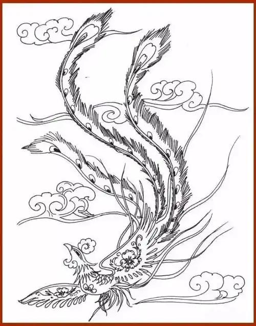 素材| 一组优美的凤凰白描线稿18图