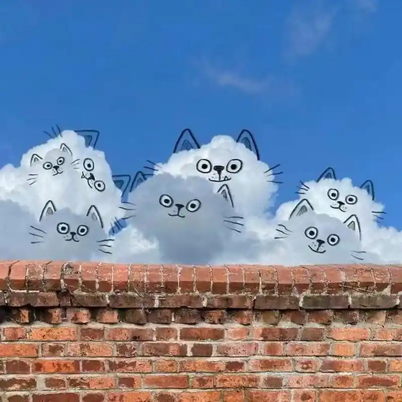 这些云朵漂亮吗?你最喜欢哪一张?