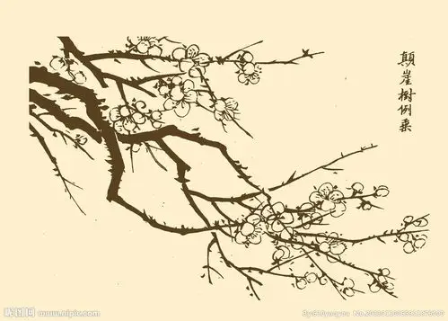 817 m 分辨率:300dpi尺寸:3136×2242像素 格式:梅花素描画图片大全