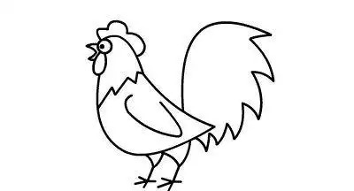 公鸡简笔画,病毒是什么颜色的简笔画图9