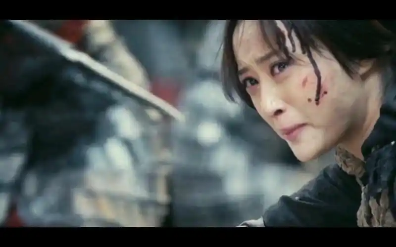 【女将军】战死沙场