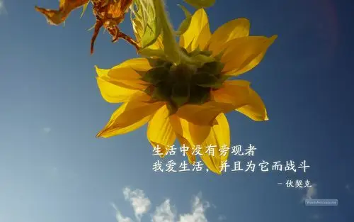 我喜爱的励志壁纸图片5