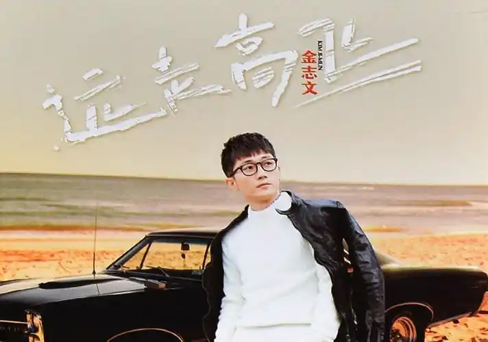 金志文cd音乐歌曲汽车载黑胶唱片流行cd碟片光盘无损音质远走高飞_7折