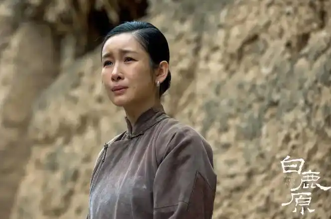 白鹿原全集电视剧百度云网盘完整无删减资源