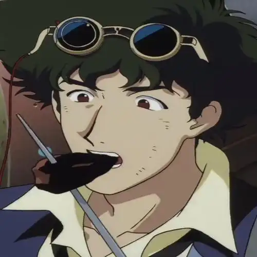 其实男女都啦星际牛仔yyds