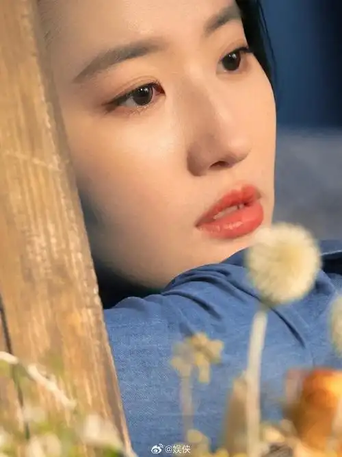 刘亦菲玫瑰故事高马尾造型