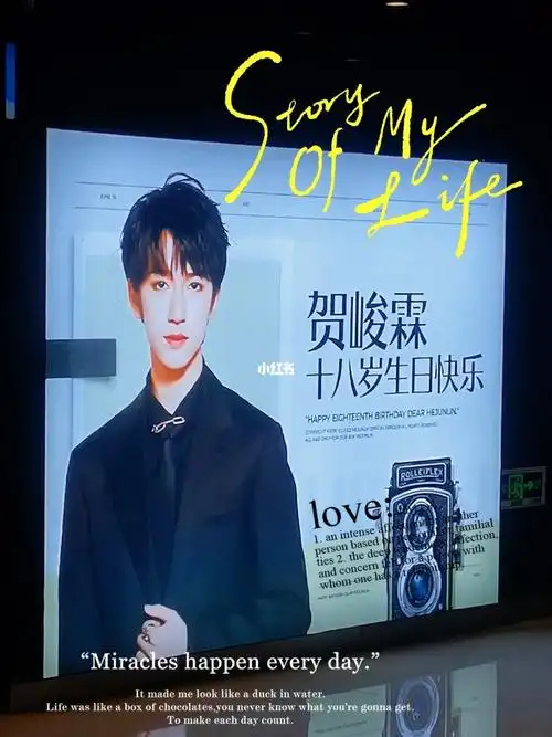 贺峻霖十八长翎破青空   #贺峻霖   #生日线下应援