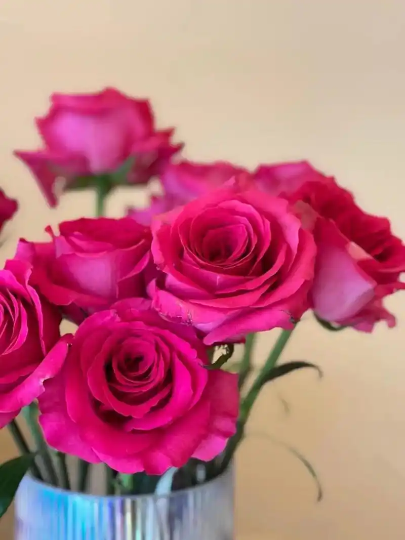 春天的hibeauty科技美肤