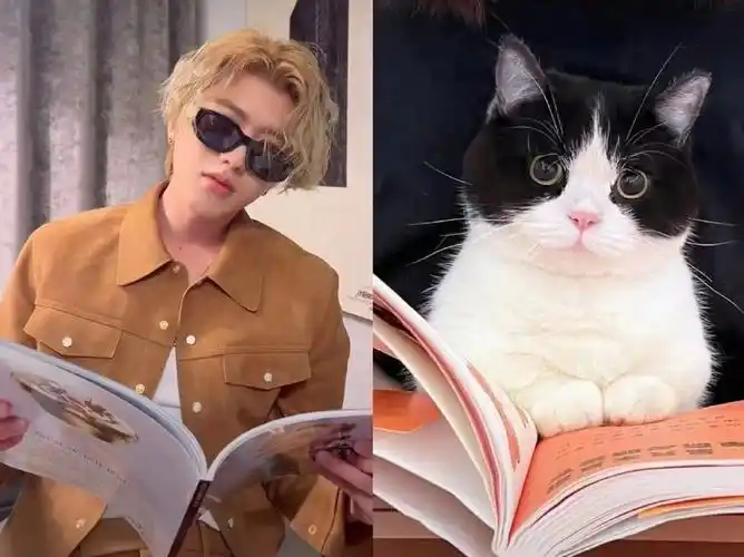 蔡徐坤 宝宝你真是一只可爱的猫咪,啊啊啊啊,给我吸吸[awsl][awsl]