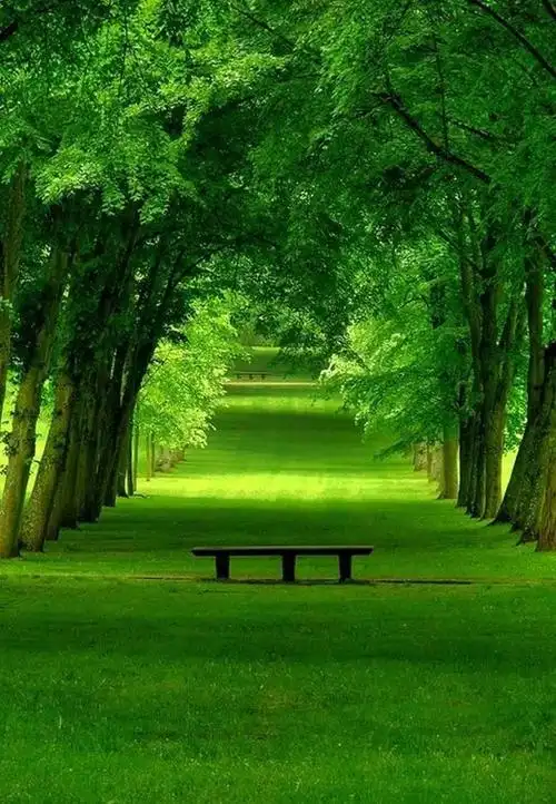 保护眼睛的好图片