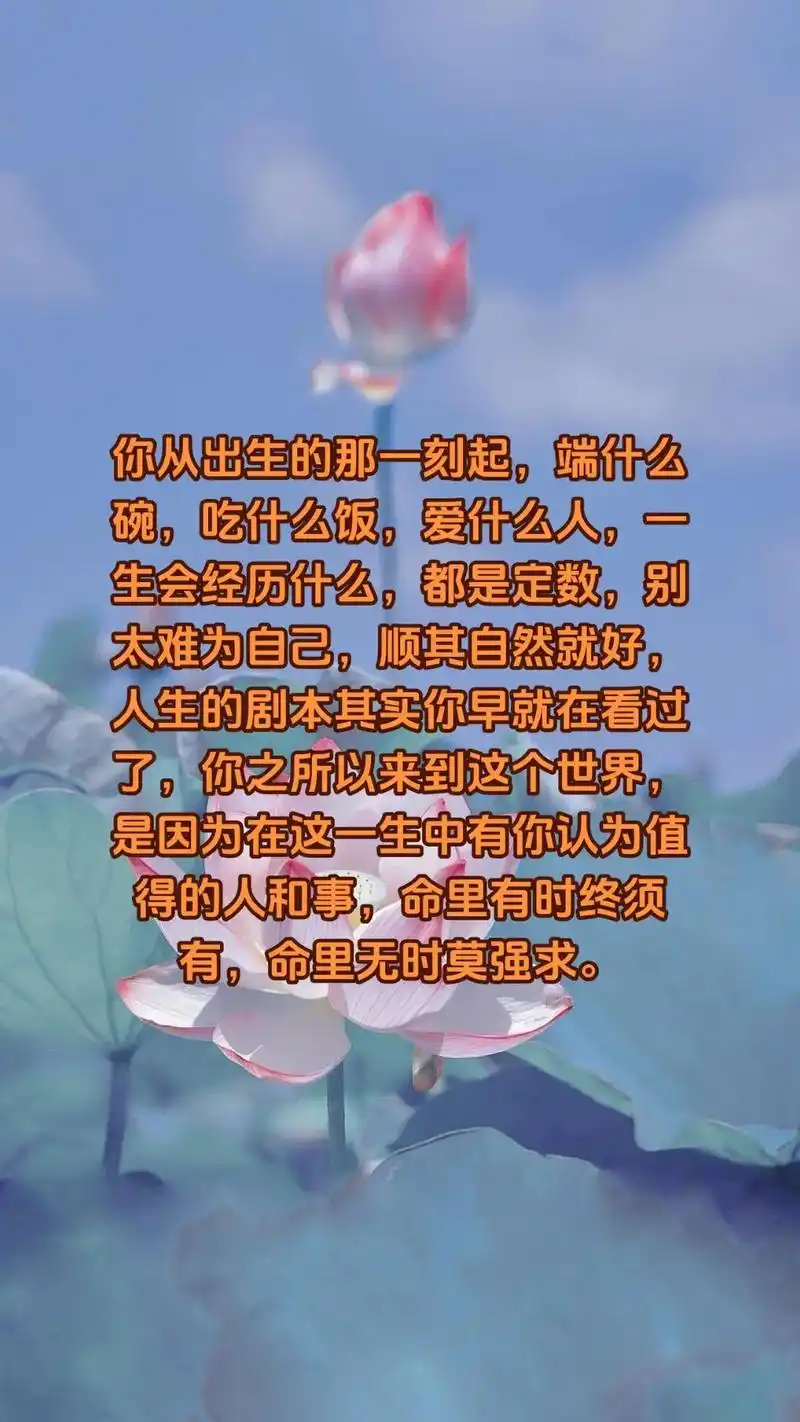 修行, 不是追求完美,而是坦然地接受残缺 以平等的心接受遭遇的一切