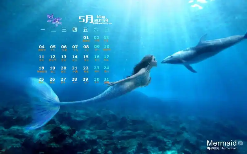 2015年5月日历壁纸精选正在海底游泳的美人鱼唯美意境蓝色风景图片2