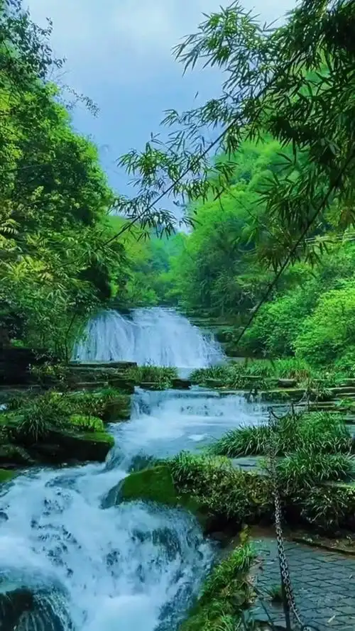 小河流水清澈见底美丽无限