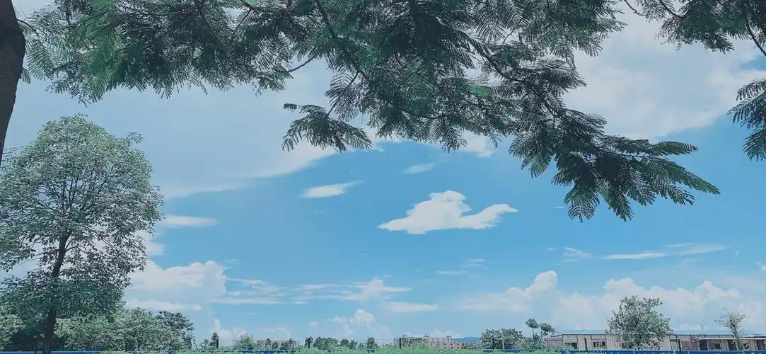 今天的心情就如这明朗的天空一般漂亮的不像话