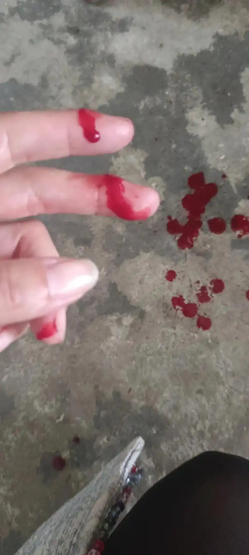 刚磨好的刀要切猪肉,谁知道刀嫌猪肉少把我手先切