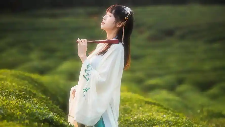 茶园 唯美古风 古装美女 4k美女壁纸
