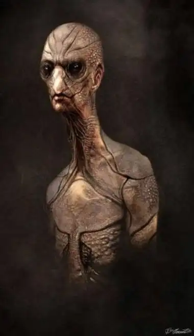 恐怖!最新研究发现的外星人照片